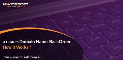 A Guide to Domain Name Backorder and How it Works