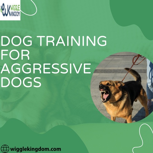 how to train a dog with a shock collar