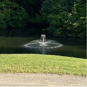 Installation and Maintenance of a Pond Fountain: Things You Ought To Know!