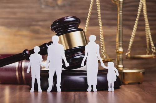 Things You Should Know Before Going To Family Court