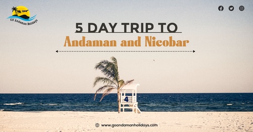 5 Day Trip to Andaman and Nicobar: The Nature’s Paradise