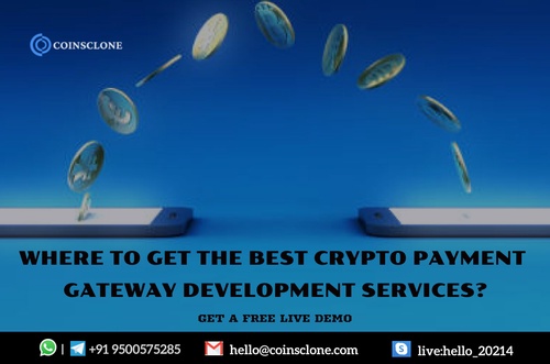 Why should cryptopreneurs Crypto  payment gateway development ??