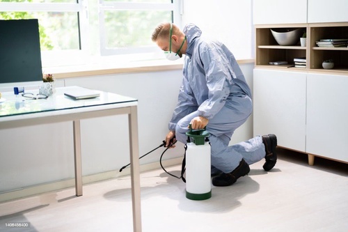 Pest Control Tips for Your Home and Business