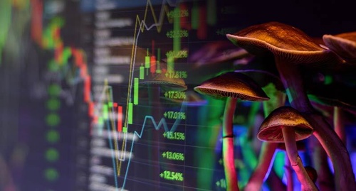 Know The Importance And Significance Of Psilocybin Before Investing