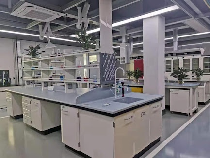 What is the most important laboratory equipment?