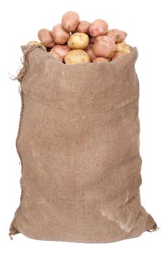Are Jute Bags Biodegradable?