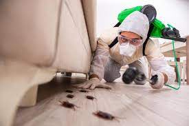 Say Goodbye to Pests: 5 Reasons Why You Need Commercial Pest Control