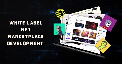 Launch Your Own NFT Marketplace Today: Work with a Trusted White Label NFT Marketplace Development Company