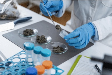 What is life science instrumentation?