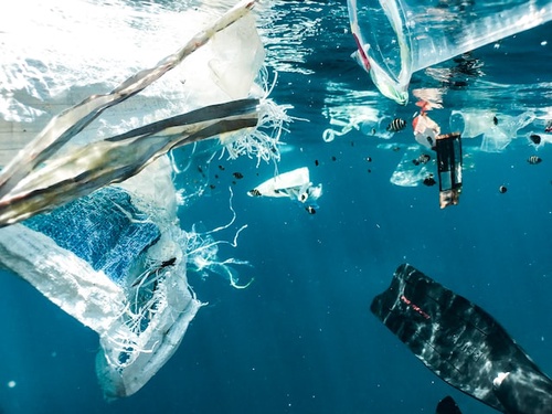 How to Stop Plastic Pollution in the Ocean