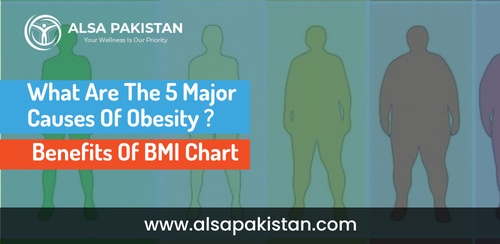 What Are The 5 Major Causes Of Obesity? | Benefits Of BMI Chart