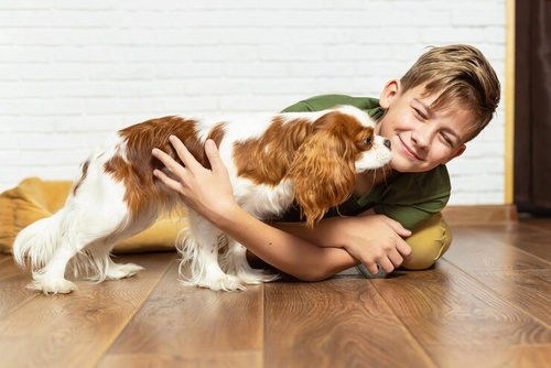 5 Easy Ways to Keep Your Dog Entertained and Happy Indoors