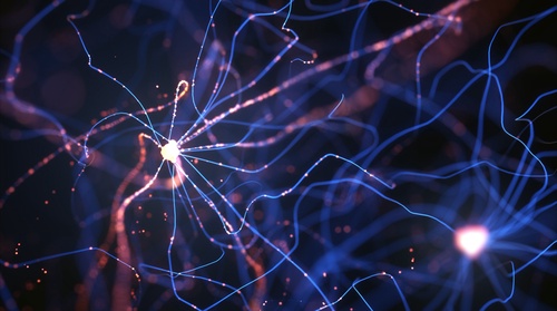 Neural Networks Demystified: A Beginner's Guide to Understanding the Fundamental of Neural Network