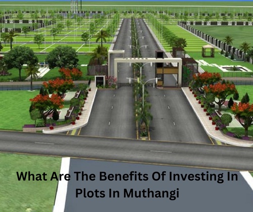 What Are The Benefits Of Investing In Plots In Muthangi