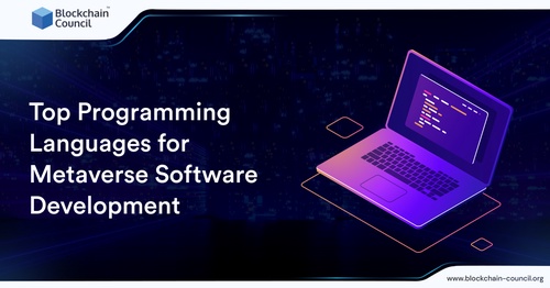 Top Programming Languages for Metaverse Software Development