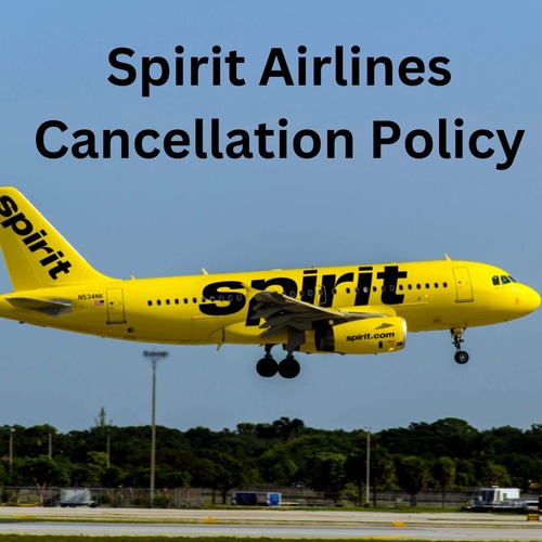 Can I cancel a flight through the Spirit?