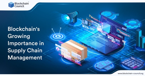 Blockchain's Growing Importance in Supply Chain Management