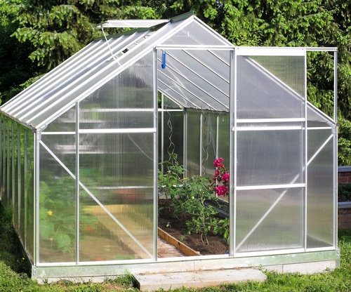 Portable Greenhouse: What to Consider Before Buying One (6 Tips)