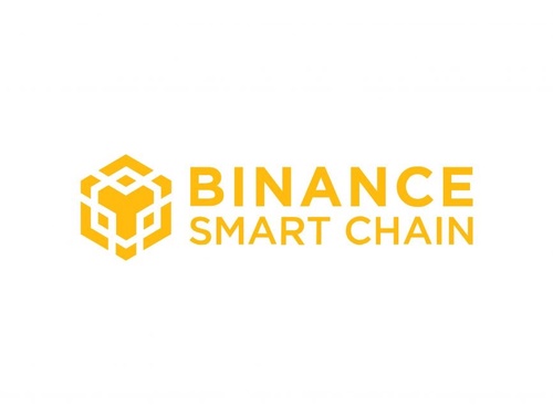 Understanding the role of Binance Smart Chain nodes in the larger Binance ecosystem