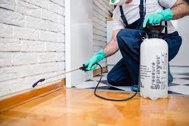WHAT TO CONSIDER WHEN HIRING PROFESSIONAL PEST CONTROL