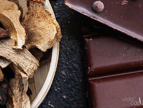 The Ultimate Guide to Mushroom-Infused Chocolate in the USA