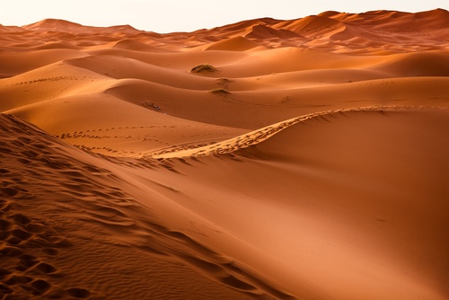 Unveiling the Mystique of Desert Safari in Dubai: An Unforgettable Adventure