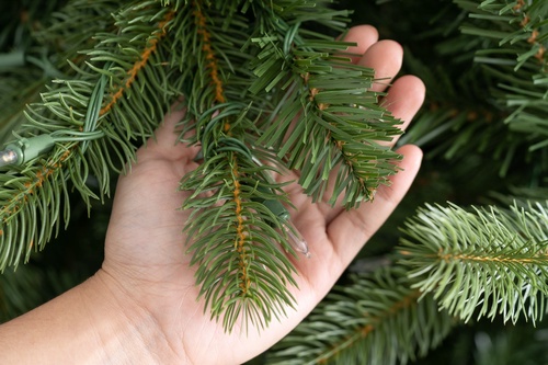 Reimagining Tradition: The Rise of Artificial Christmas Trees