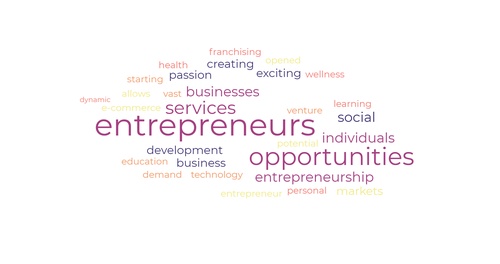 Entrepreneur Opportunities: Get Rich Quick and Live the Dream Life You've Always Wanted!