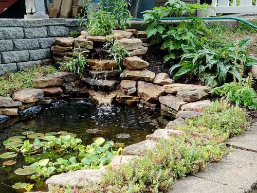 What kind of features can you add to a backyard pond?