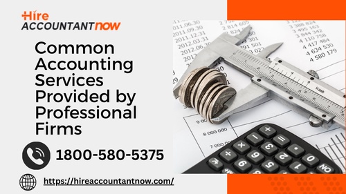 Common Accounting Services Provided by Professional Firms