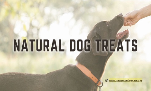 Zukes Mini Natural Dog Treats