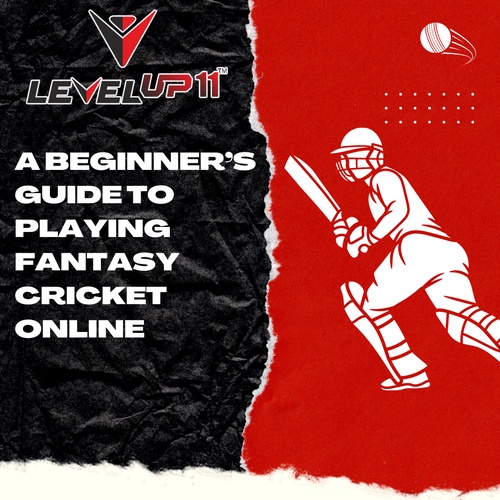 A Beginner’s Guide to Playing Fantasy Cricket Online