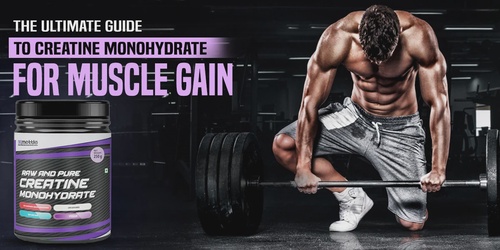 Creatine Monohydrate: A Safe and Effective Supplement for Strength and Endurance Training