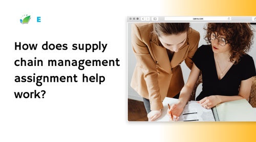 How does supply chain management assignment help work?