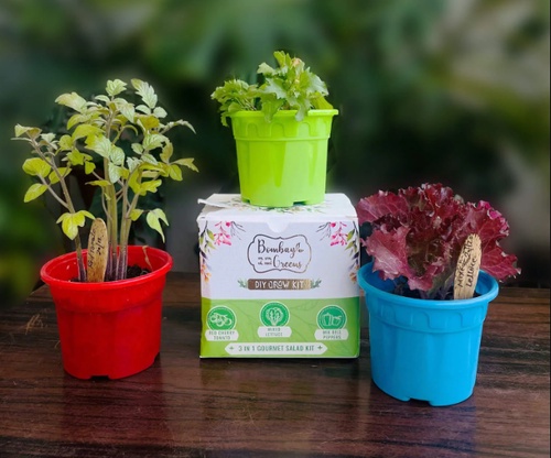 Eco-Friendly Planting Kits: Sustainable Gardening Made Easy