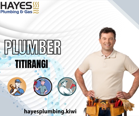 Expert Plumbing Services for Your Plumbing Needs