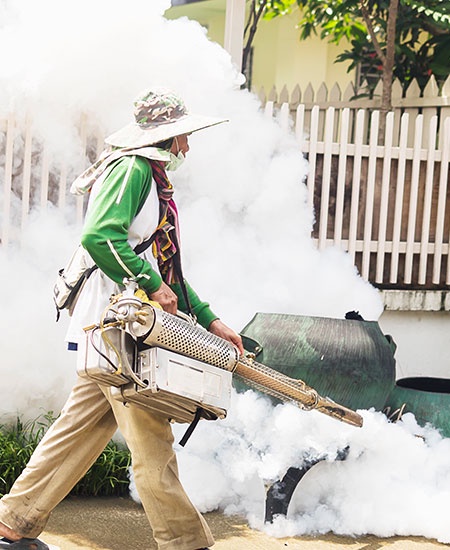 The Benefits Of Hiring Professionals For Residential Pest Control Services