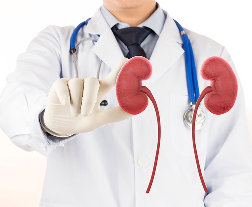 5 Ways to Maintain the Health of Your Kidneys