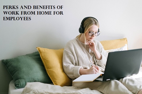 Enhancing Perks and Benefits of Work from Home for Employees