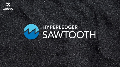 Securing Your Hyperledger Sawtooth Node: Best Practices for Node Security