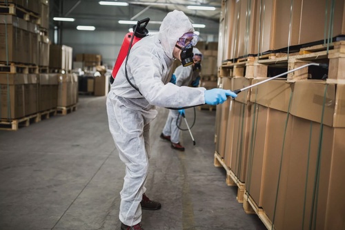 Creating Pest-Free Environments: Commercial Pest Control Services in Lainsburg