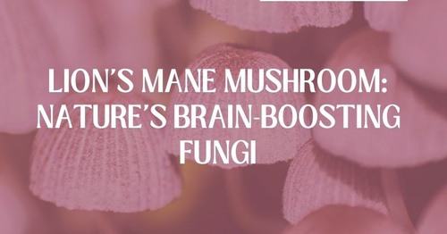 Lion's Mane Mushroom: Nature's Brain-Boosting Fungi