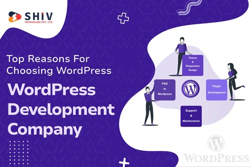 Top Reasons For Choosing WordPress | WordPress Development Company