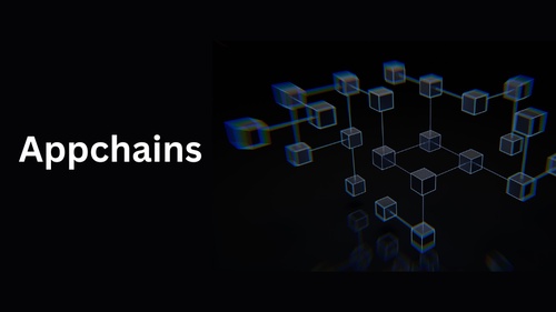 Exploring the Power of Appchains: Scalable and Customizable Blockchain Solutions
