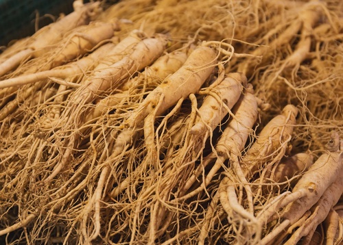 Ginseng: The Natural Elixir for Mind and Body