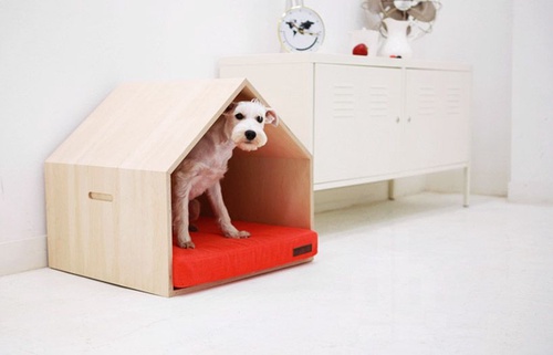 Exploring the Best Pet Homes for Your Pet