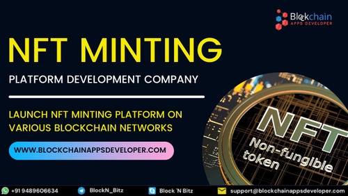 NFT Minting Platform Development Company