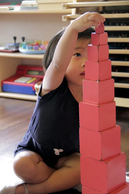 Discovering the Top 10 Montessori Schools in Los Angeles