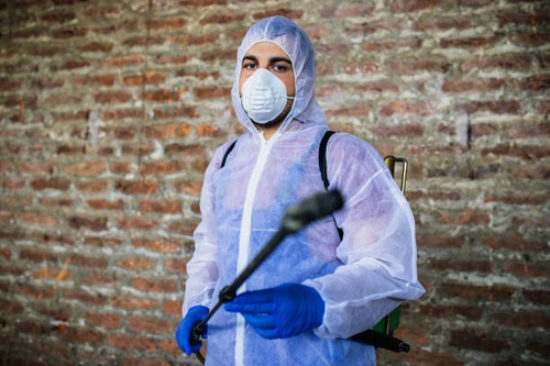 5 Essential Steps for Effective Pest Control in Your Home