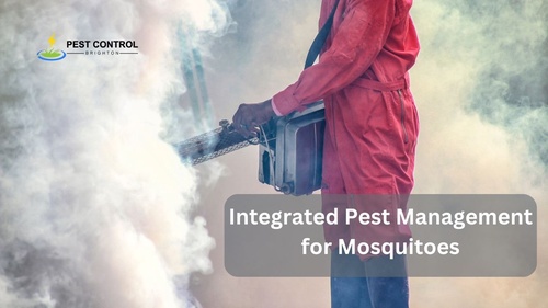 Integrated Pest Management for Mosquitoes